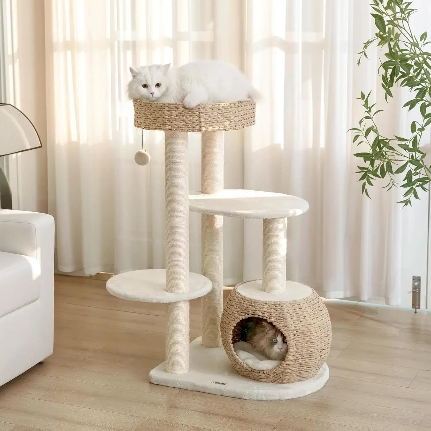 Albero per Gatti da Interno per Gattini, Sisal Naturale, Cuccia Intrecciata a Mano, 39 Pollici
