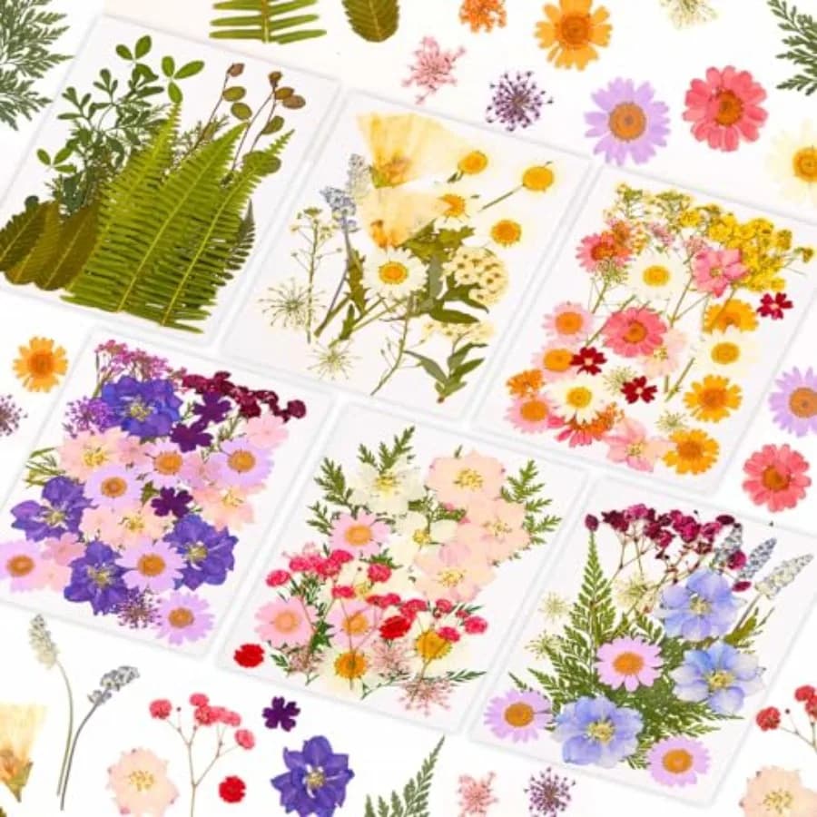 124 Pezzi di Fiori Pressati Essiccati per Creazioni in Resina, Fiori Selvatici Veri e Foglie Naturali Essiccate con Pinzette per Resina Epossidica