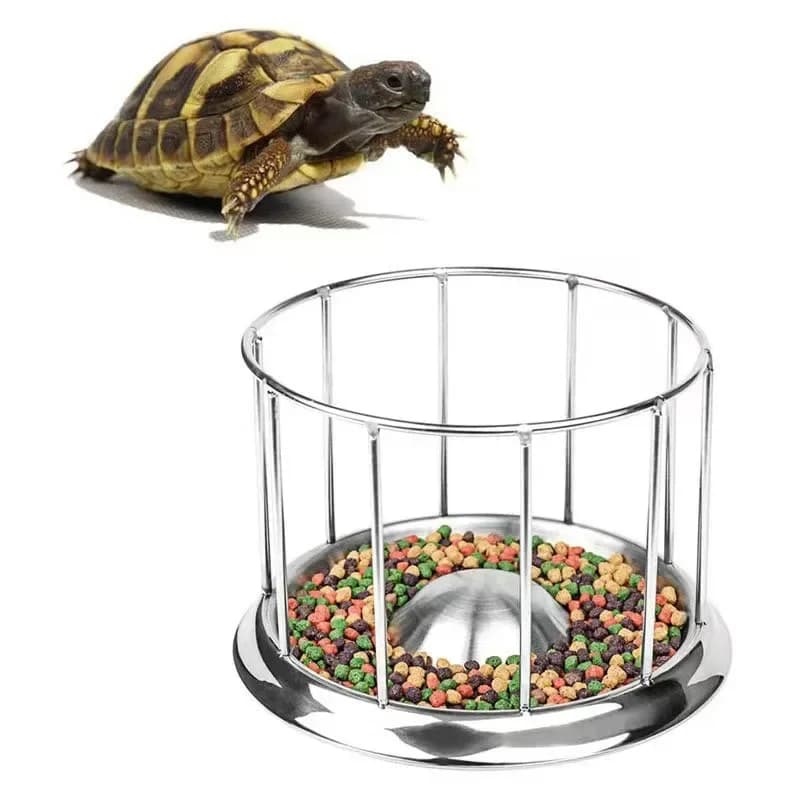 Acquario di grandi dimensioni in acciaio inossidabile per animali domestici, mangiatoia per rettili, ciotola, bacino, cibo, acqua, rettile, tartaruga, tartaruga