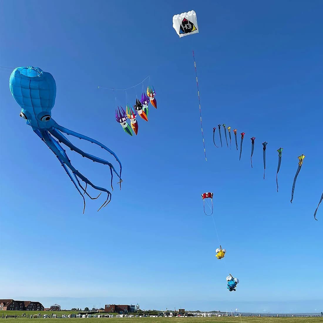 9KM 3m Squid Kite Line, Ciondolo Gonfiabile Morbido in Tessuto Ripstop Nylon, Accessorio per Festival e Spettacoli all'Aperto, Ingrosso