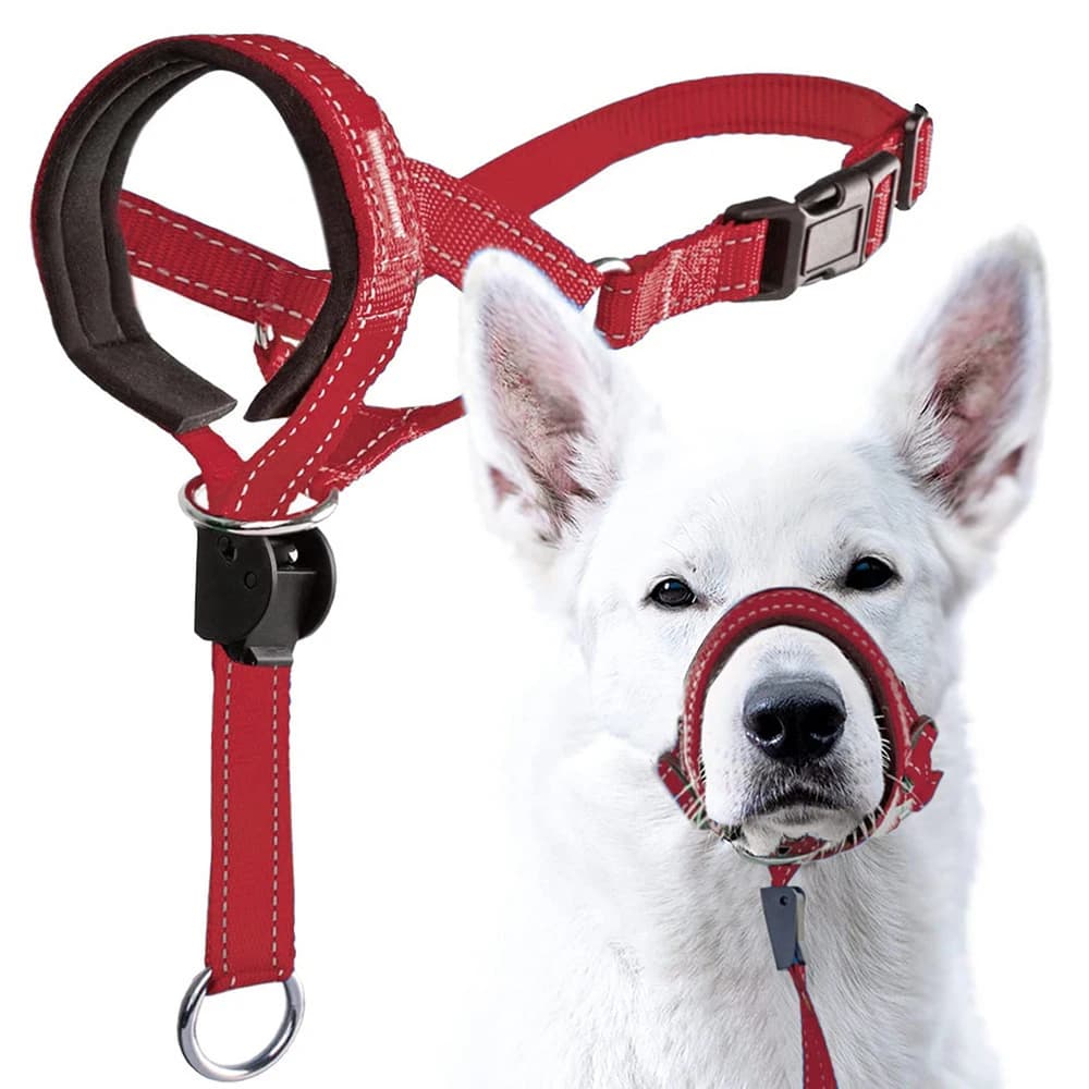 Museruola a sgancio rapido per cani con cinturino di sicurezza, museruola anti-morso per impedisce al cane di tirare sul guinzaglio