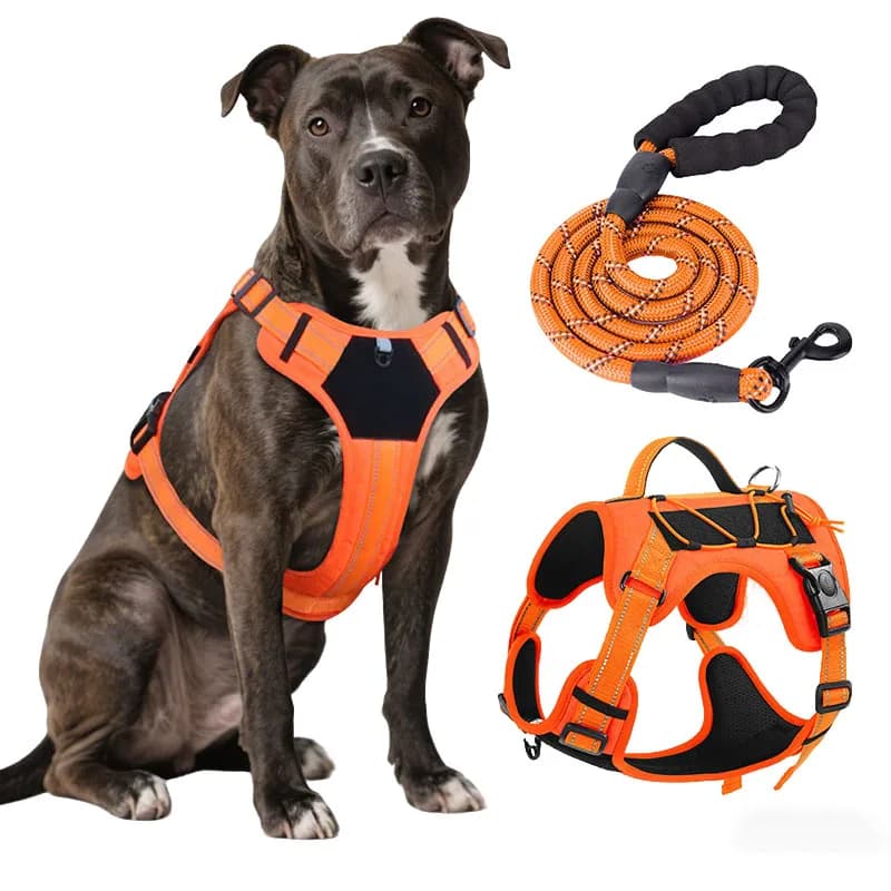 Set Pettorina e Guinzaglio per Cani di Taglia Grande, Resistente, Anti-Trazione, con Cintura di Sicurezza per Auto, Riflettente e Regolabile
