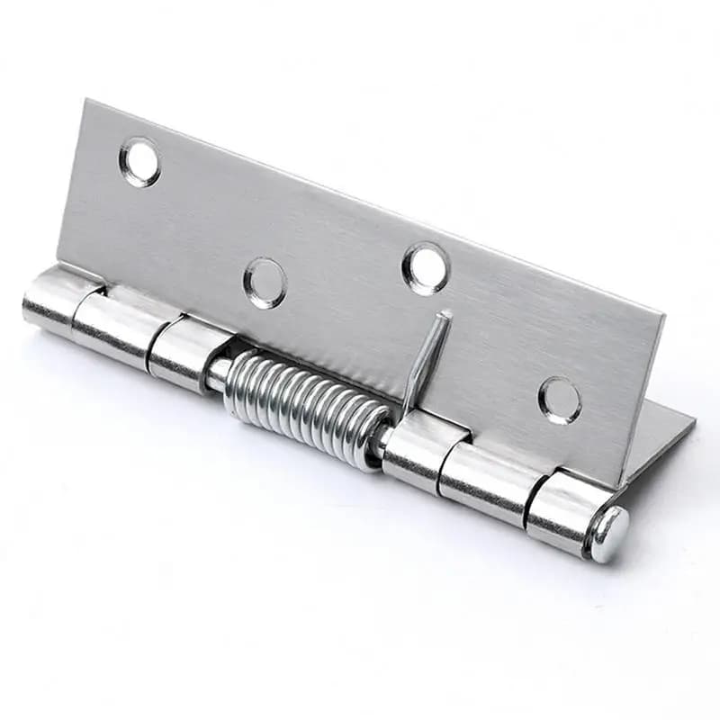 1pc cerniere a molla in acciaio inossidabile chiusura automatica porta a molla cerniera interna hardware fai da te chiudiporta dell'armadio cerniera di ritorno automatico