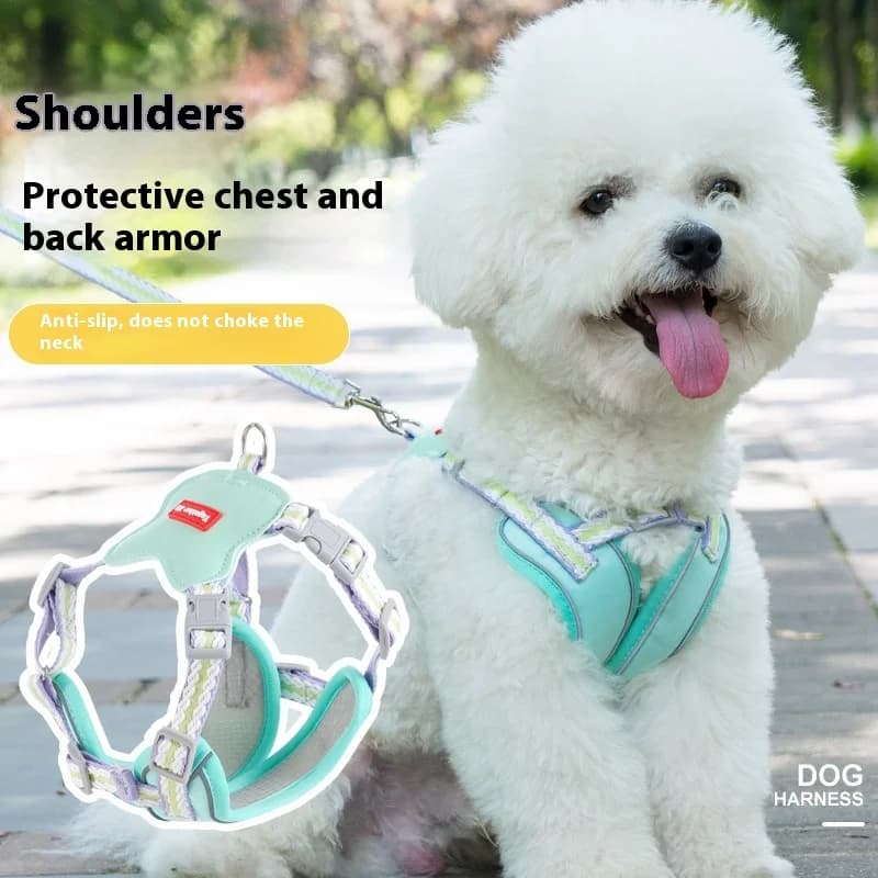 Gilet estivo leggero con imbracatura per cani anti-fuga rinforzato con doppia cinghia con guinzaglio per cani dal design regolabile