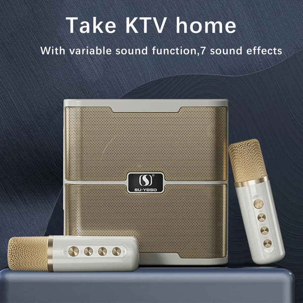 Sistema di altoparlanti Karaoke Home Sing Machine con doppio microfono portatile Wireless Bluetooth Soundbox TF Card U Disk Ktv Family Set