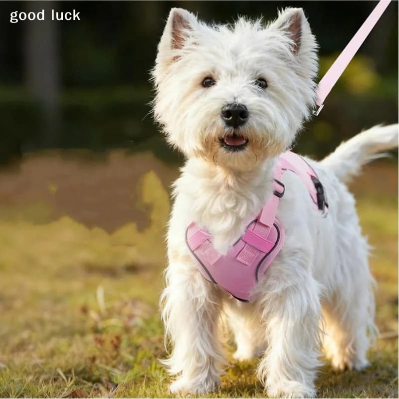Pettorina per Cani Riflettente con Guinzaglio, per Cani Medi e Grandi, Gilet Tattico Regolabile in Tessuto Oxford, Accessori per Animali Domestici