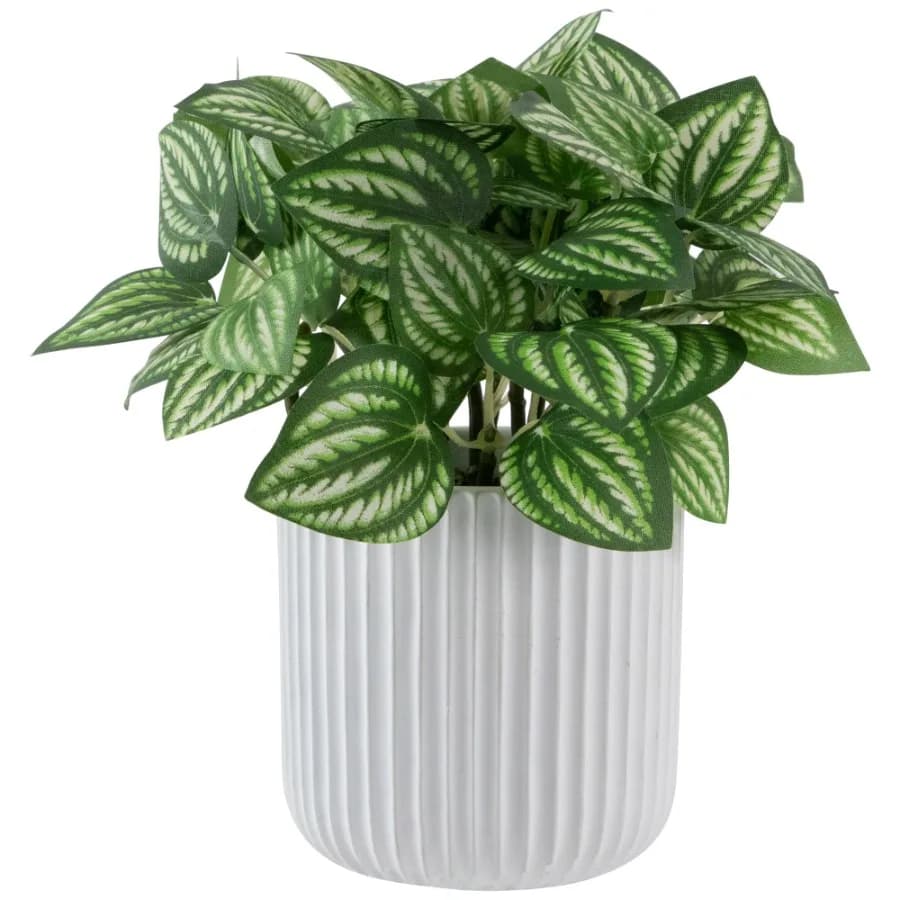 Artificial Watermelon Peperomia Plant in Pot - 6.5"
