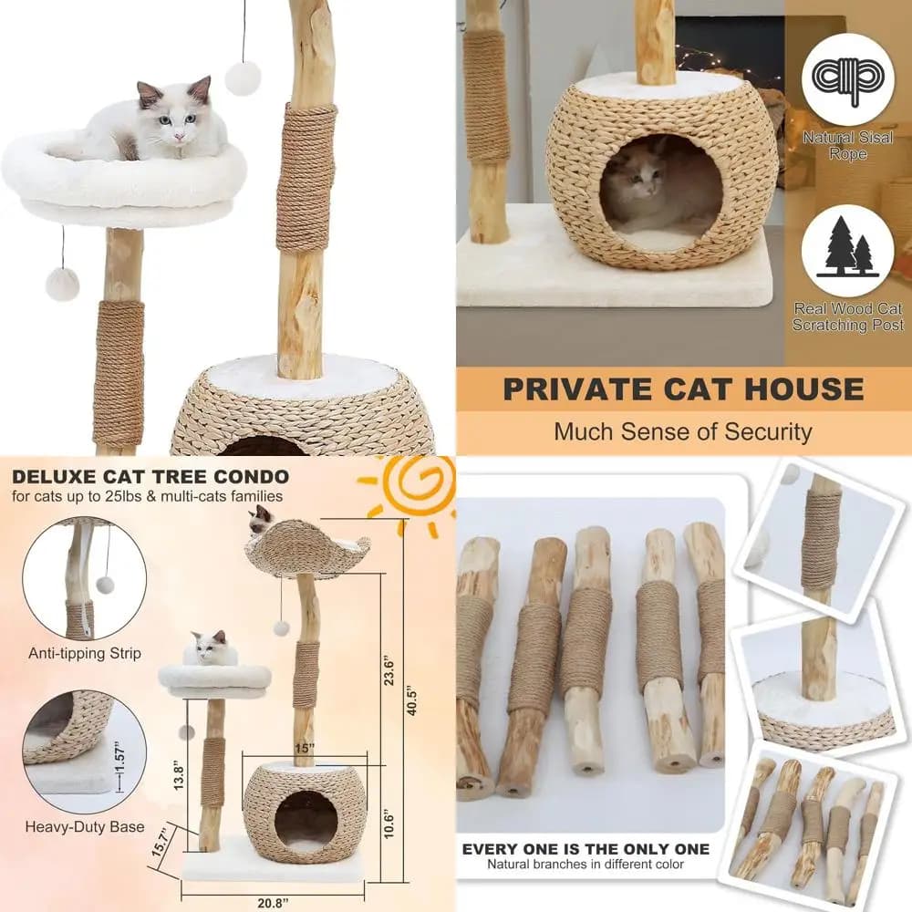 Albero per gatti da interni di lusso con rami reali, graffi, piattaforme e giocattoli per case multi-gatto