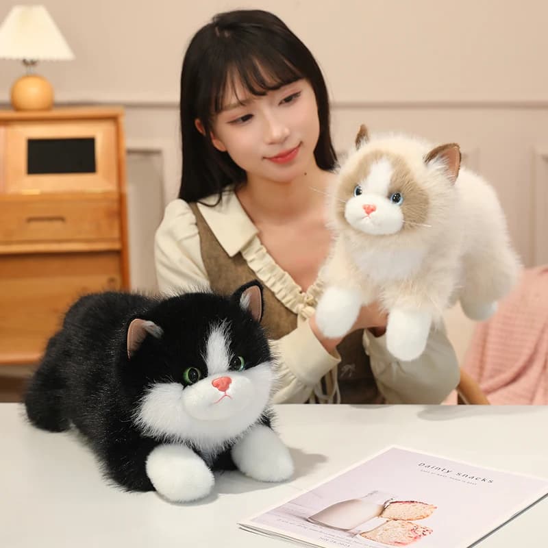 Peluche Gatto Ragdoll Realistico e Morbido, Giocattolo Felpato e Accogliente a Forma di Gatto Sdraiato, Bambola Gattino Calda e Confortevole, Decorazione Kawaii per la Casa