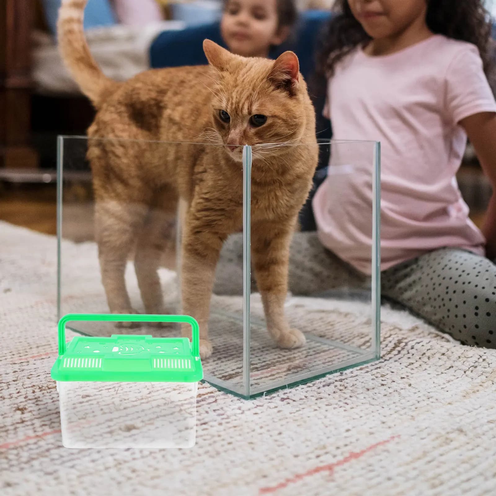 Acquario Portatile in Plastica Trasparente per Tartarughe, Pesci, Criceti, Rettili, Piccola Scatola Trasparente per Trasporto Animali Domestici