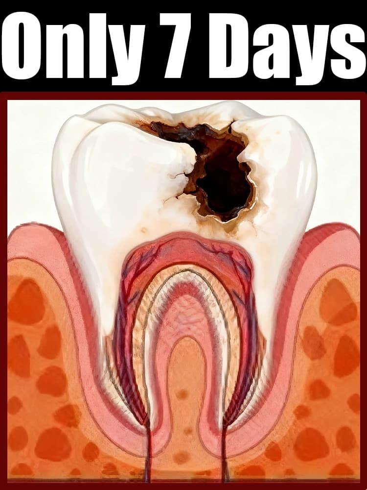Rimuove la placca, lenisce delicemente le macchie di gomma, pulire i denti e pulisce e deodorare la bocca.