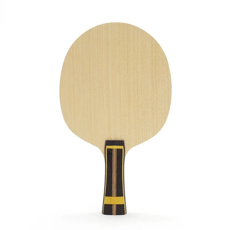 Racchetta da Ping Pong Professionale per Bambini e Studenti, Racchetta da Tennis da Tavolo con Base Singola