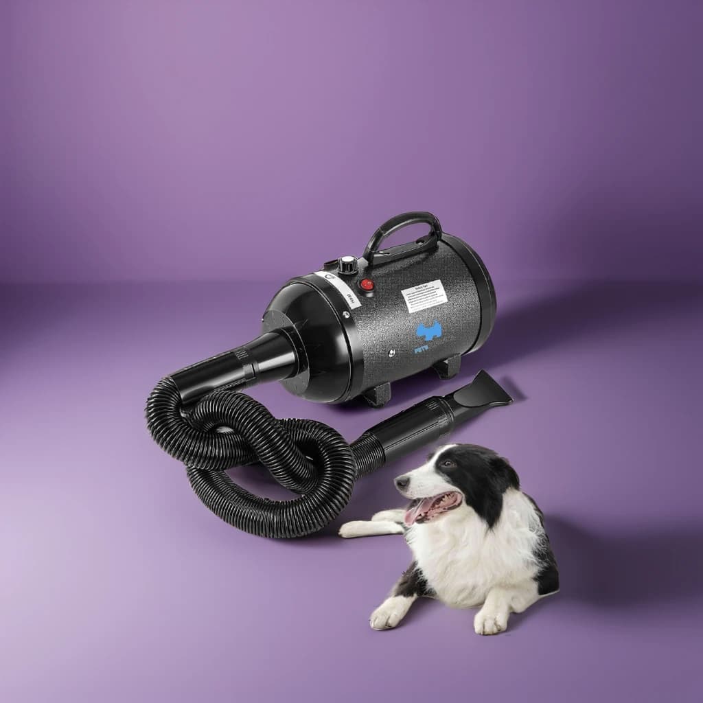 Asciugatore ad Aria Forzata Sostenibile e Veloce per la Cura del Pelo di Cani e Gatti, in Materiale PP, Alimentazione a Batteria