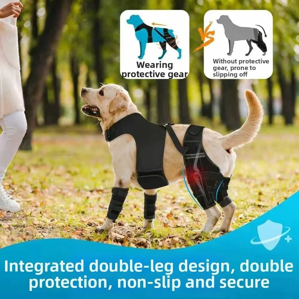 Supporto per Ginocchio Regolabile per Cani, Traspirante, Anti-Leccamento, Nero con 4 Stabilizzatori, Supporto per Zampe Posteriori