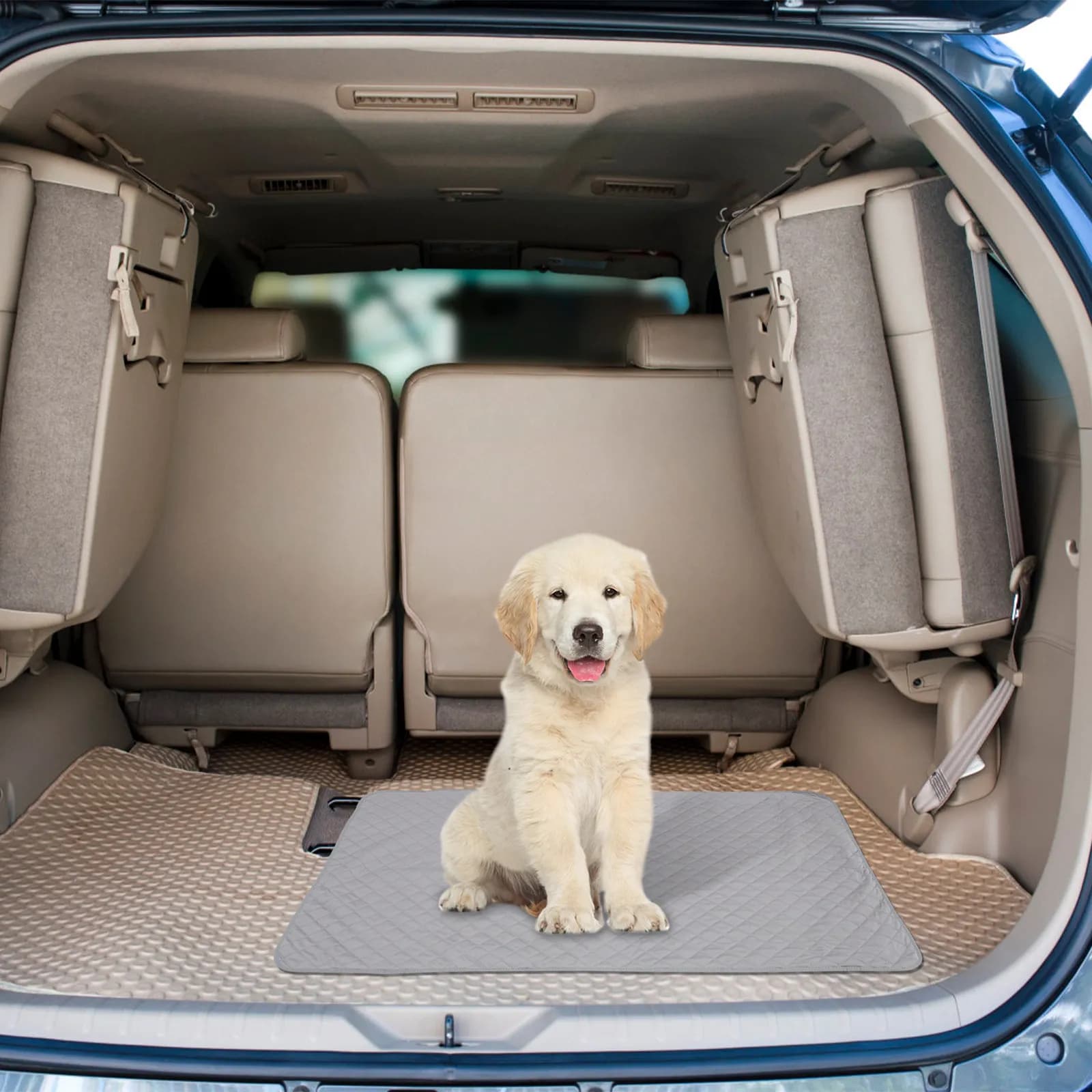 Coperta per Cani Impermeabile Spessa 74x135cm, Protezione Antiscivolo per Divano, Tappetino per Letto Animali, Coperta Calda e Accogliente da Viaggio per Cani e Gatti