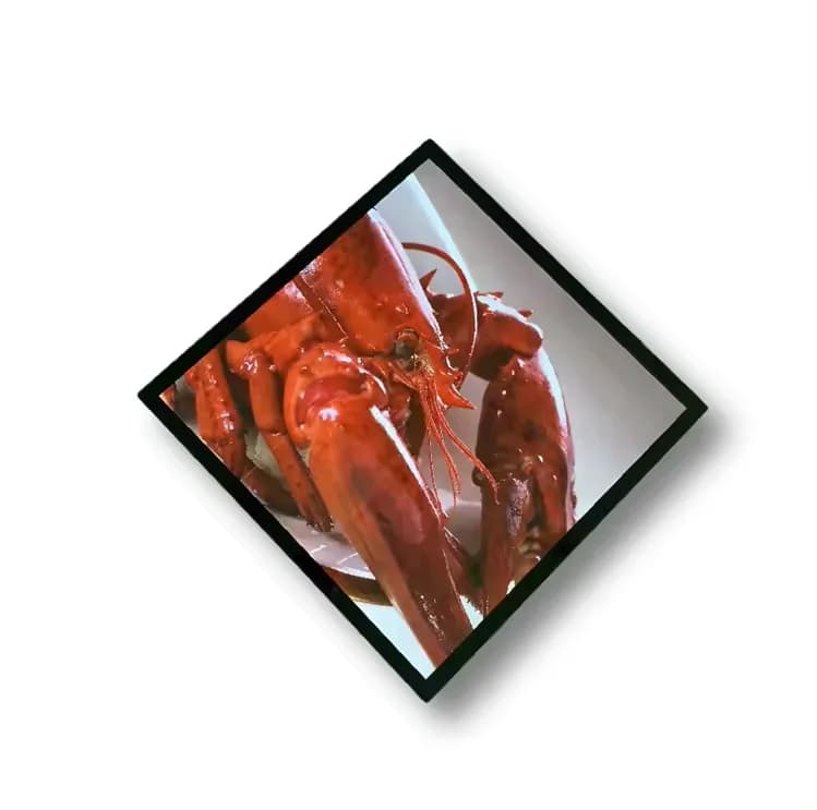 Nuovo Schermo LCD Digitale Professionale da 33,1 Pollici per Arte e Immagini, Cornice Fotografica Smart NFT Decorativa con Wi-Fi per Gallerie