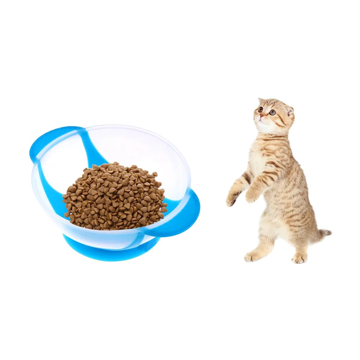 Ciotola Antiscivolo per Cani in Plastica con Due Manici, Ciotola per Acqua e Cibo, Colore Casuale, Base in Silicone con Ventosa Antiscivolo