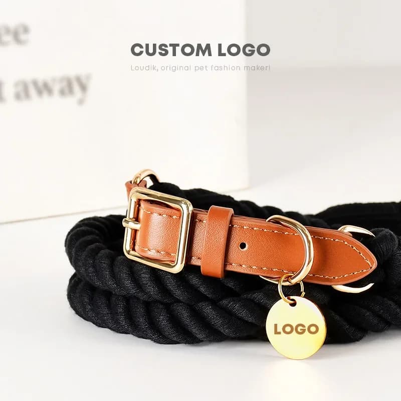 Set di guinzagli per collare per cani in cotone lavorato a mano di lusso alla moda Set di guinzagli con fibbia in lega per cuccioli robusti e collare per animali domestici Accessori per animali domestici