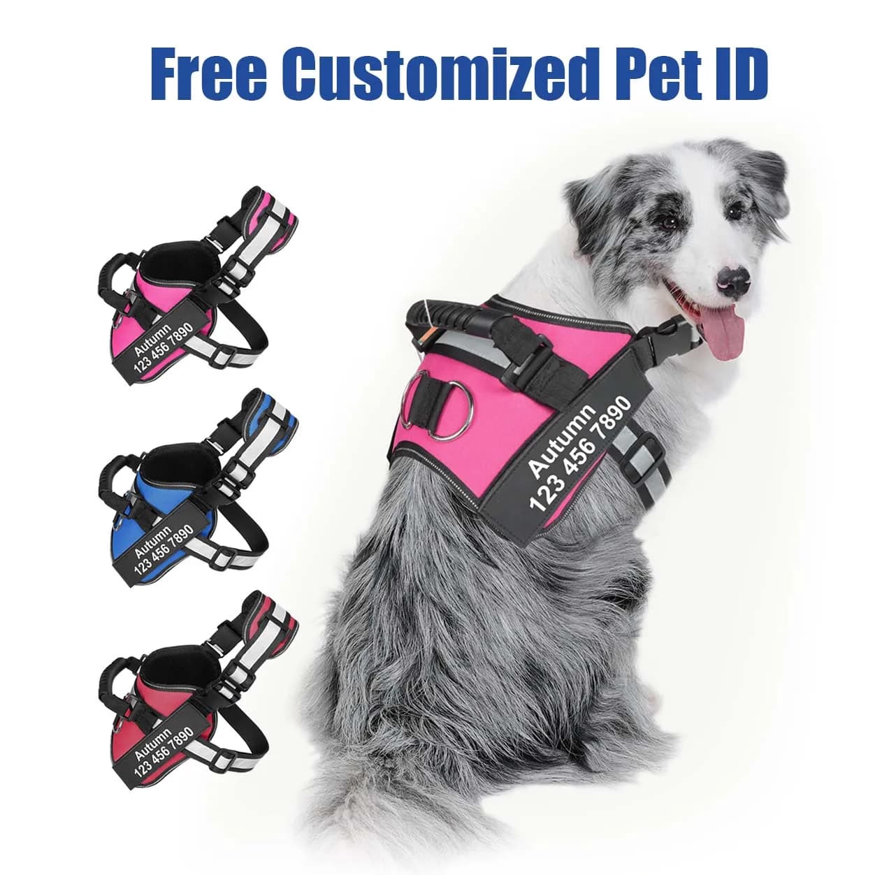 Pettorina per cani personalizzata Gilet riflettente senza tirare con nome personalizzato Patch per numero di telefono Pettorina per animali traspirante regolabile