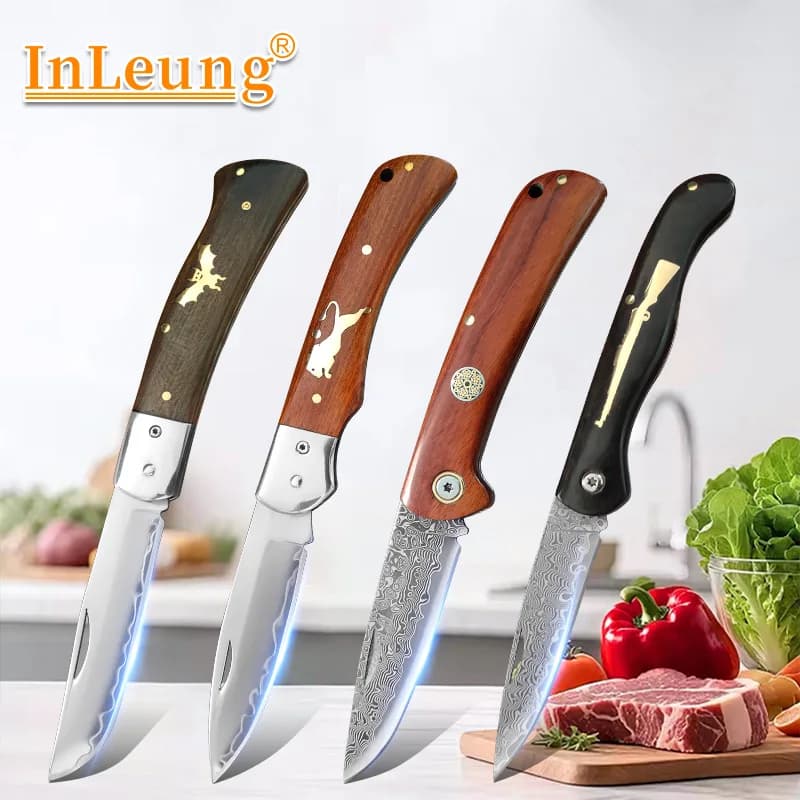 Coltello Tascabile Super Affilato in Acciaio Damasco VG10 con Lama Pieghevole e Manico in Legno, Coltello da Cucina per Tagliare Frutta, Carne e Verdura, Regalo per le Feste