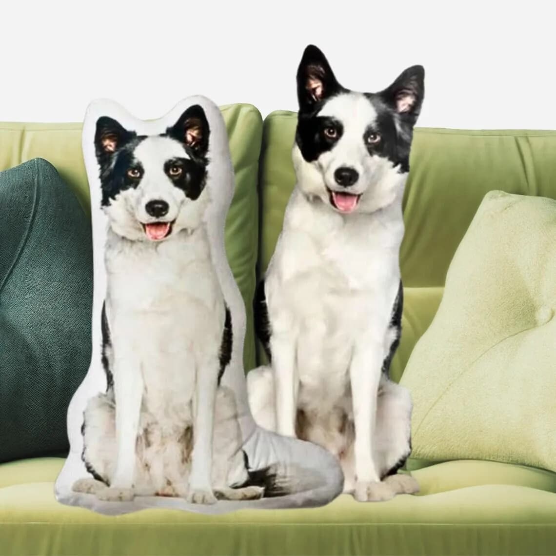 Foto di animali domestici personalizzati Cuscini di peluche Gatto personalizzato, cane, coniglio e altre forme di animali Compleanno San Valentino