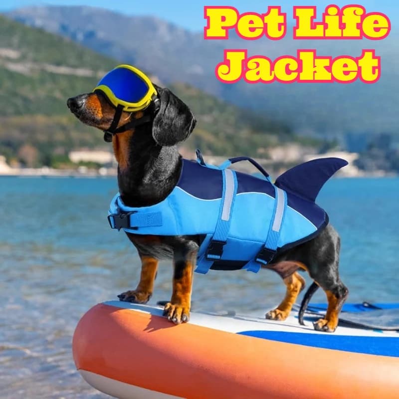 Giubbotto di Salvataggio per Cani Estivo, Giubbotto Galleggiante per Cani da Esterno, Gilet da Nuoto per Addestramento, Giubbotto Galleggiante per Cani per Barca, Spiaggia, Piscina, Acqua