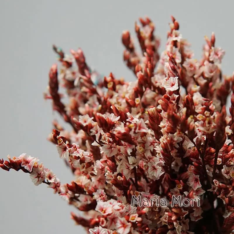 5g/Colored Dired Preserved Crystal Grass Home Office Wedding Decorations Aroma Candles Epoxy Resin Handle Material FAI FROM YOU