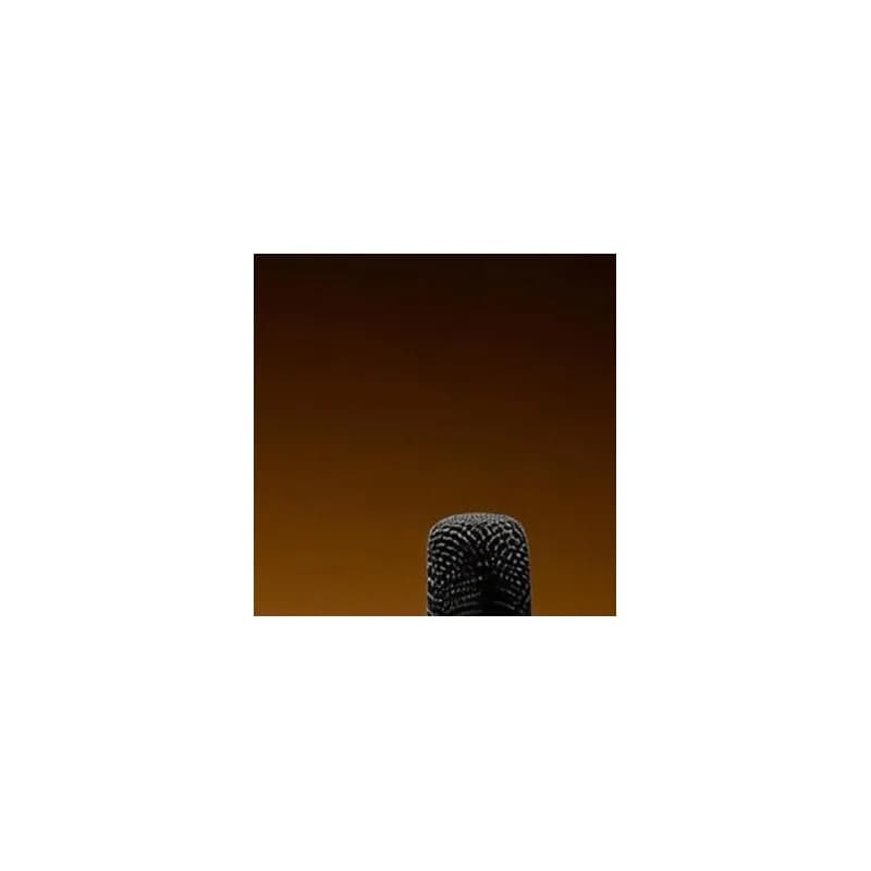 Portable Bluetooth-compatible Karaoke Machine Dual Wireless Mic 20W 360 Surround DSP 1800mAh PU Leather Wood Box Outdoor