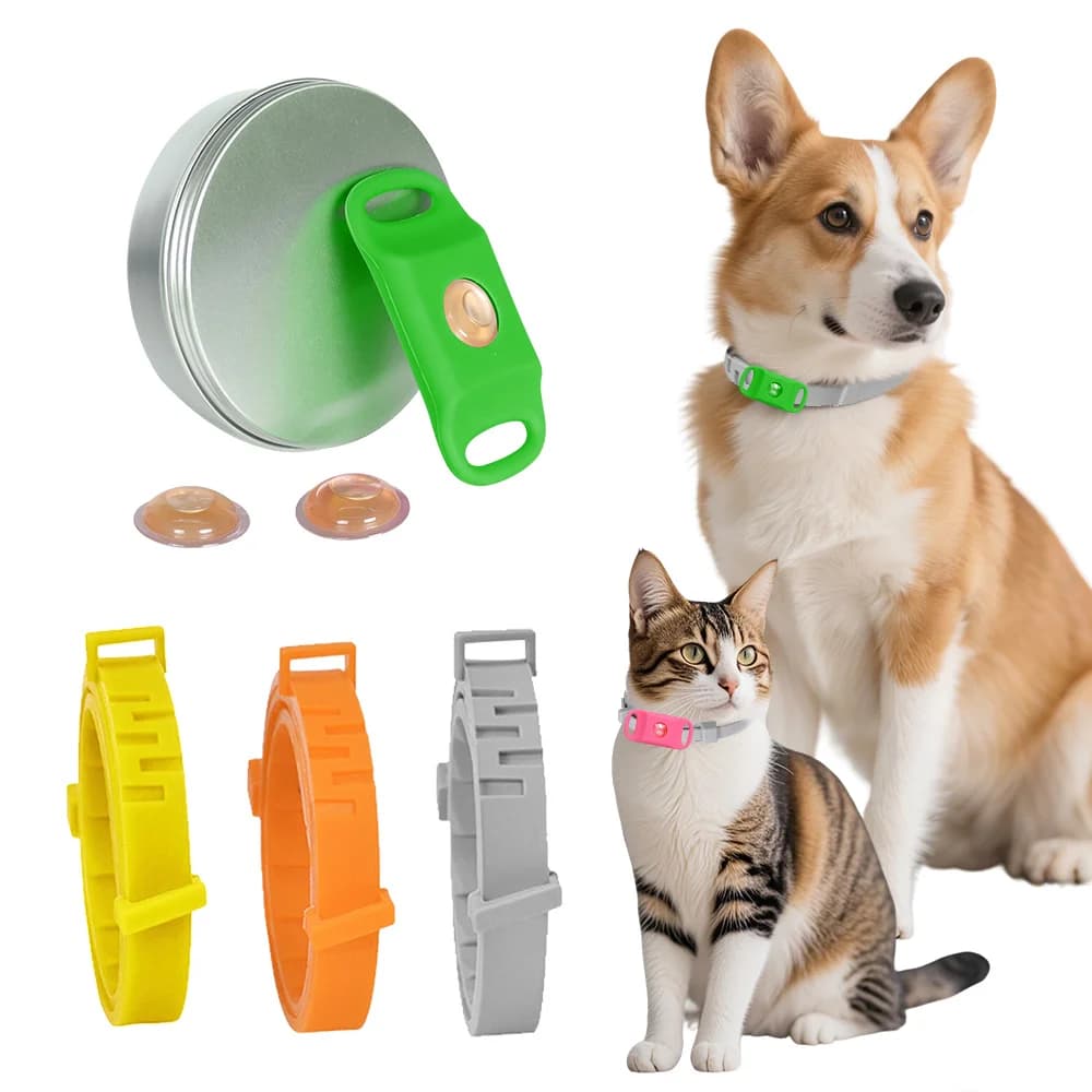 Collare antipulci per animali domestici Oli naturali pendenti anti-pulci e zecche per collare di cani e gatti Forniture per animali domestici con oli essenziali per ripristinare i parassiti