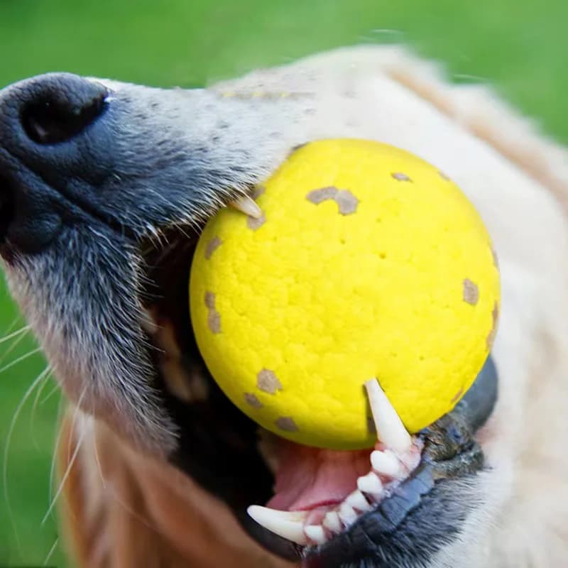 Palline per Cani Rinforzate, Resistenti ai Morsi, Giocattoli da Masticare per Cani Aggressivi, Palline da Tennis Atom per la Dentizione