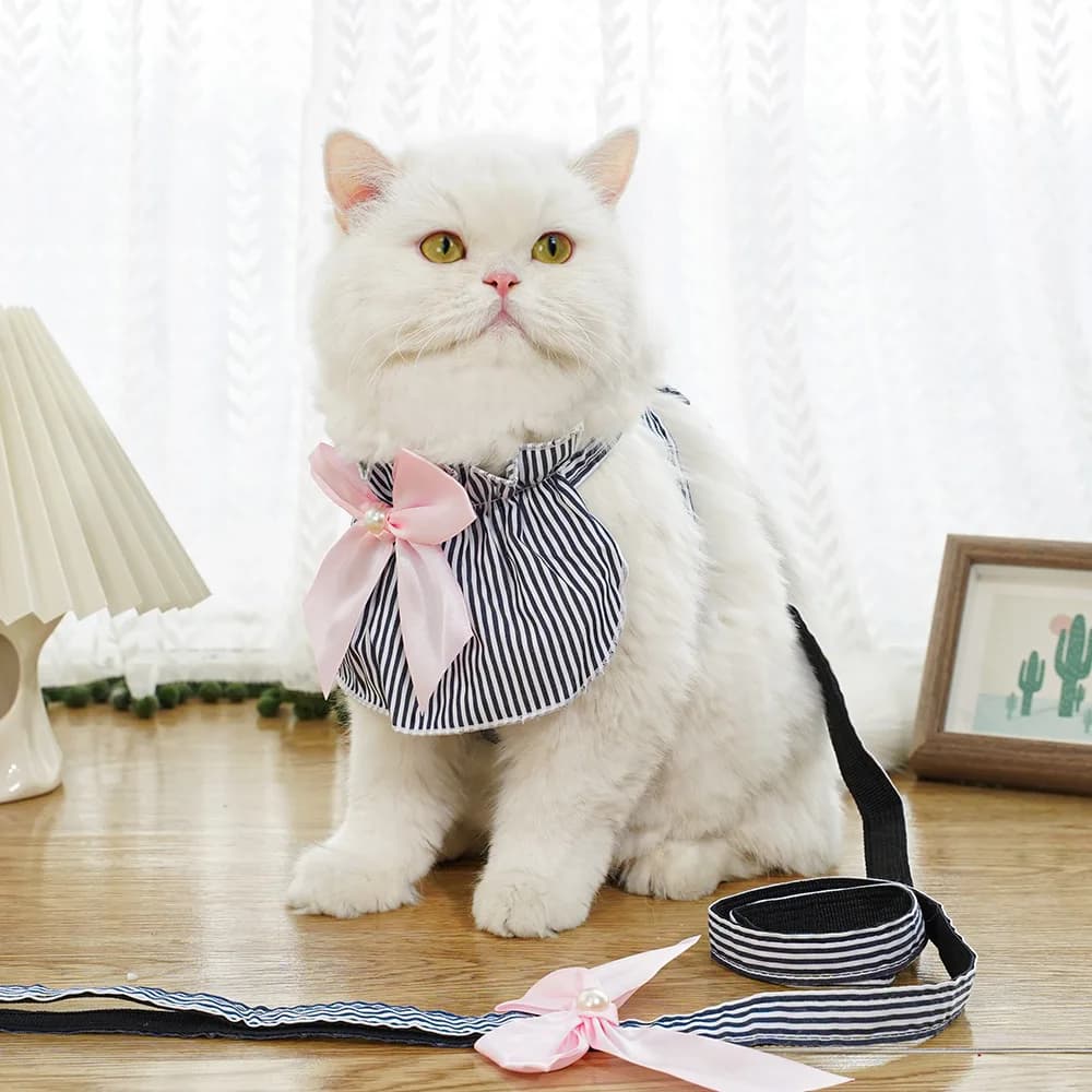 Guinzaglio e Pettorina Blu a Righe per Cani e Gatti, per Passeggiate all'Aperto, Abbigliamento per Cani, Accessori per Pomeranian e Animali Domestici