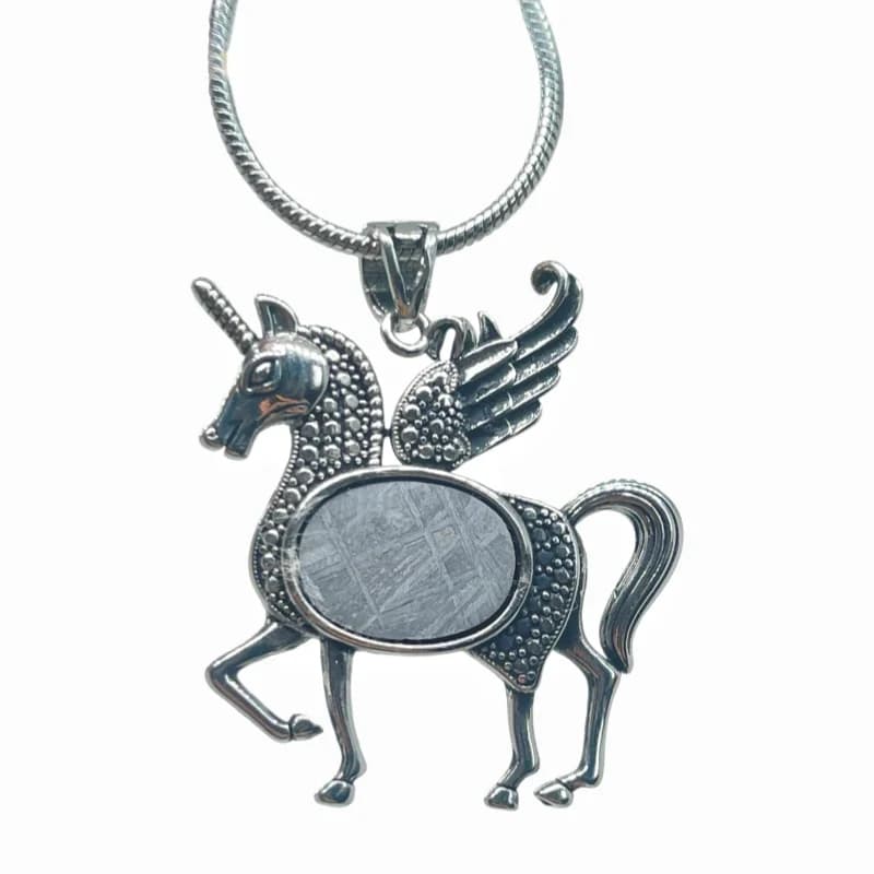 Authentic Gibeon Iron Meteorite Necklace Mythical Winged Horse Design Stainless Steel Frame LK392
