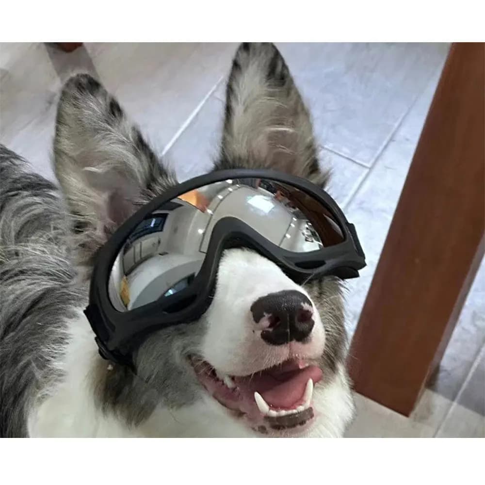 Occhiali per cani Occhiali da sole per cani da esterno antivento Occhiali da sci per animali domestici Attrezzatura decorativa NA121S