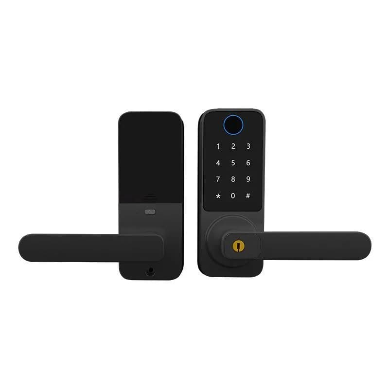 Serratura con impronta digitale per ufficio sferica sostitutiva con blocco password intelligente per porta in legno per interni