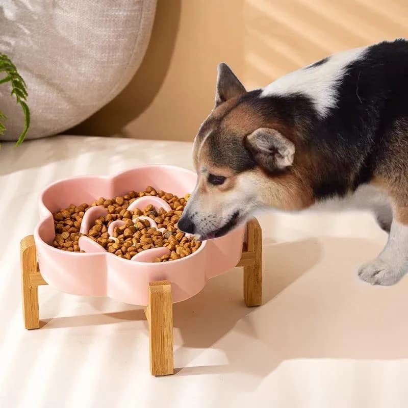 Ciotola per cani con alimentatore lento in ceramica per razze piccole Antiscivolo Anti soffocamento Piatto per alimenti per animali domestici a alimentazione lenta Durevole Facile da pulire per cuccioli