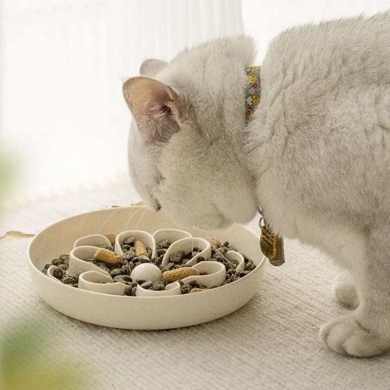 Ciotola Slow Food per Gatti con Ciotola Antiurto, Ciotola Antiscivolo per Animali Domestici, Utensili per l'Alimentazione di Cani e Gatti