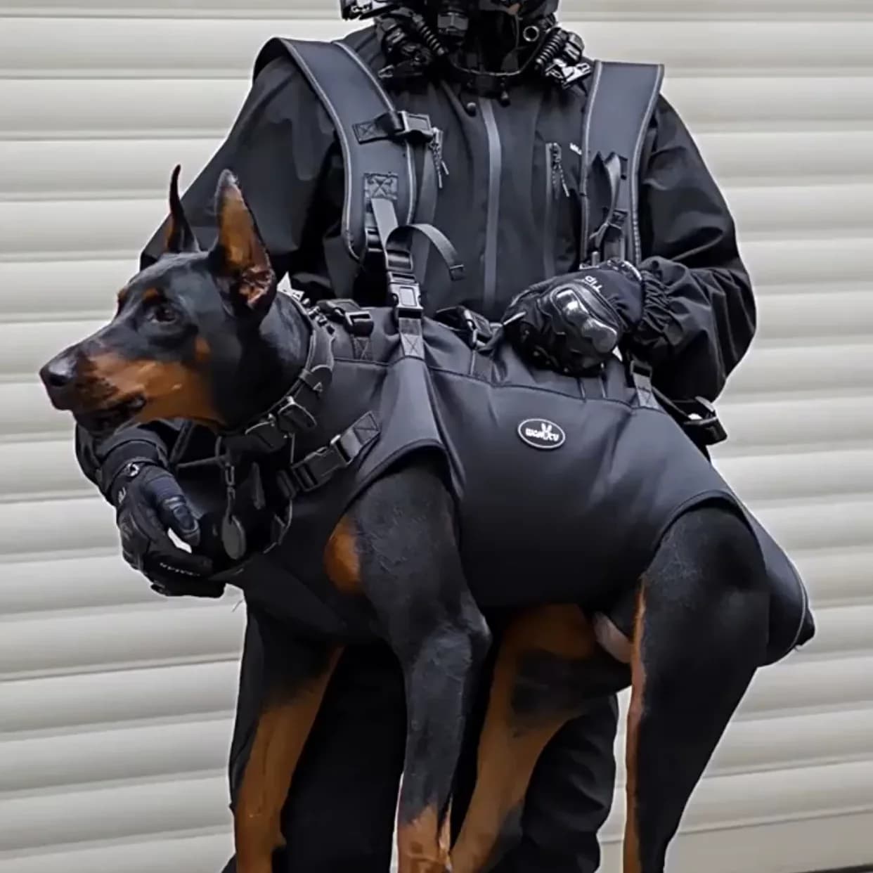 Imbracatura per sollevamento cani Supporto Imbracatura per recupero Pet Sollevatori per riabilitazione regolabili Gilet zaino per animali domestici Borsa per animali domestici Imbracatura per cani 2 in 1