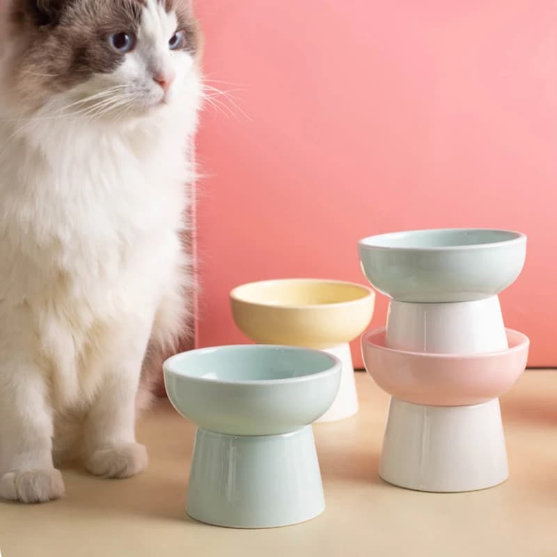 Ciotola rialzata in ceramica per gatti, protegge la colonna cervicale, ciotola per acqua e cibo, mangiatoia e abbeveratoio rialzati per gatti, cuccioli, cani, accessori per animali domestici