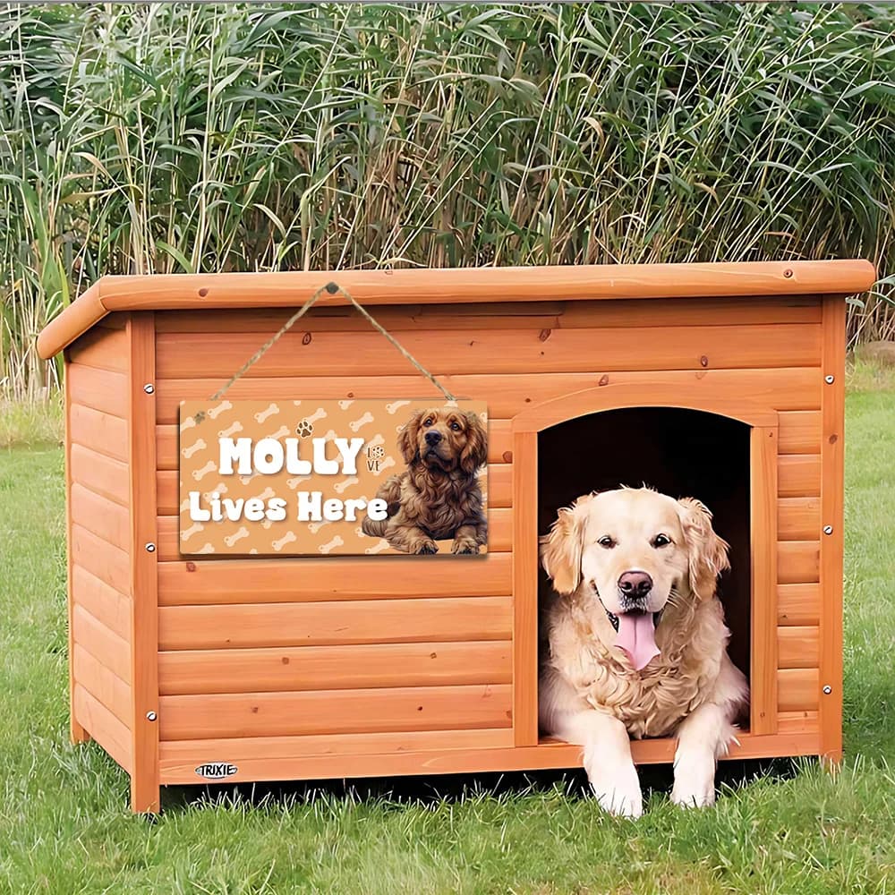 1PC simpatici cartelli personalizzati con targhetta per cani per l'arredamento della stanza degli animali domestici, cartello da appendere alla parete con nome personalizzato dei cartoni animati
