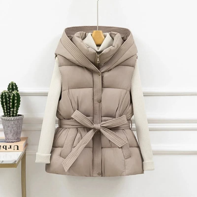 Nuovo 2025 Autunno Inverno Giacca senza maniche Slim Casual Gilet da donna Cappotto Temperamento Versione coreana Giacca in cotone da donna
