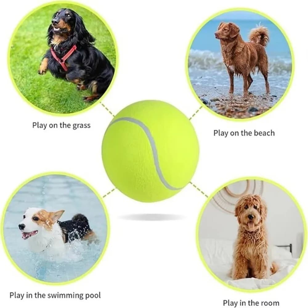 Nuove palline da tennis elastiche Durevole non tossico Palline da gioco per animali domestici Pratica competizione di palline