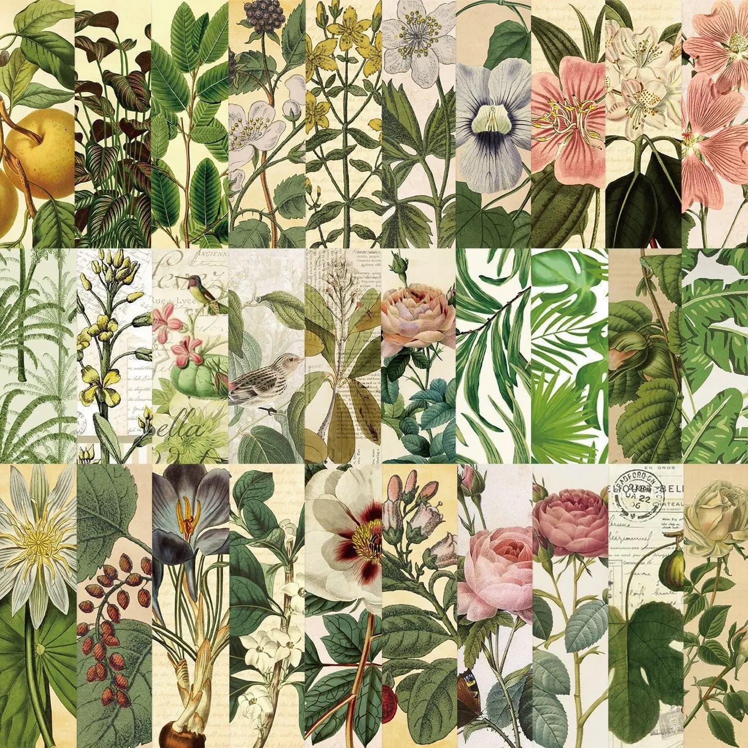 30 pezzi segnalibri piante naturali fiori strumenti per la lettura di libri retro pagine di carta supporto kawaii ufficiale pianificatore decorazioni per notebook