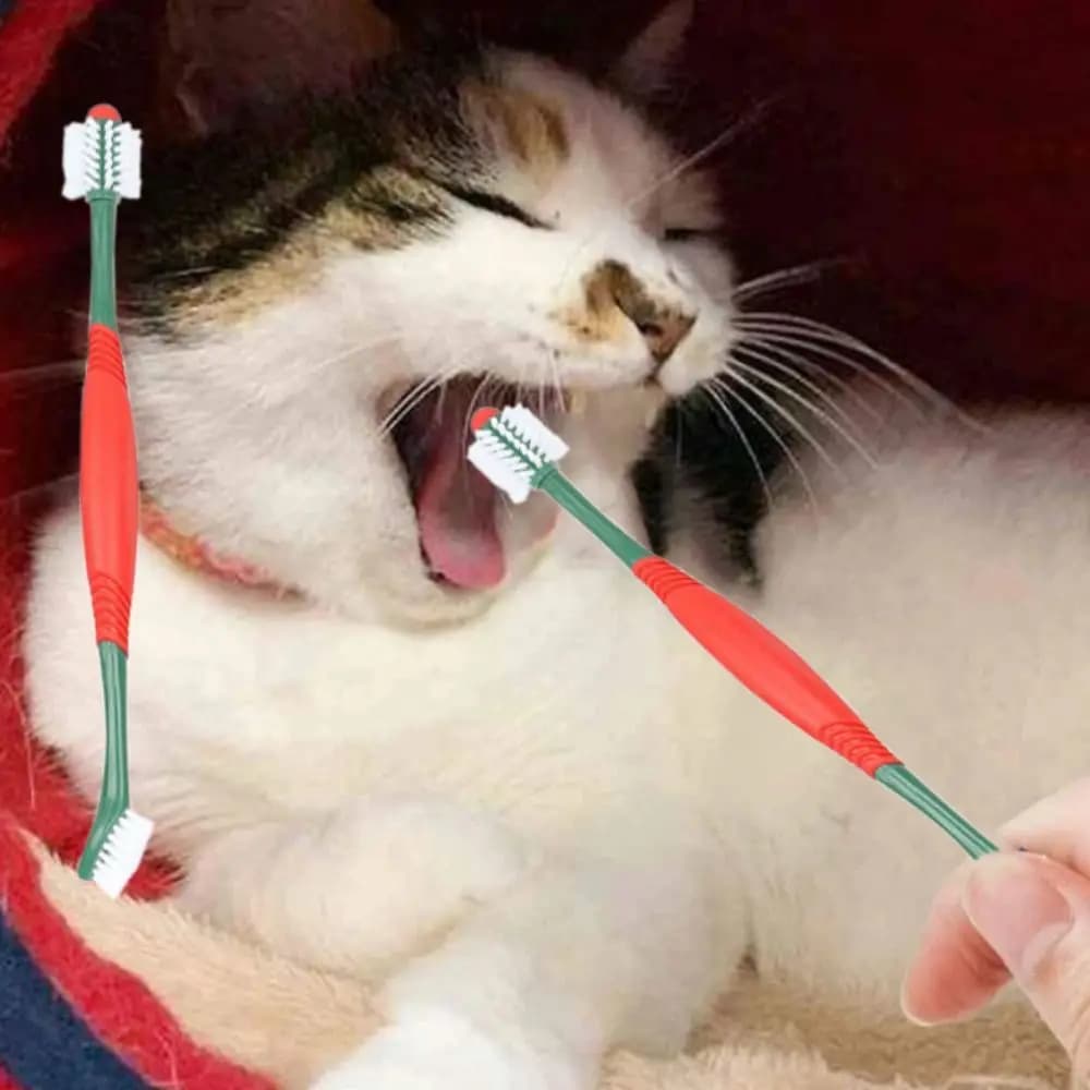 Spazzolino da denti a doppia testa per animali domestici a 360 ° spazzolino da denti in plastica resistente all'usura con setole morbide per gatti