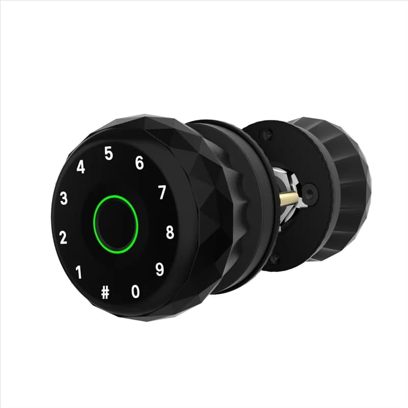 BNVN-Serratura Intelligente per Porta con Maniglia, Supporto per Chiave, Password, Bluetooth e App, Accesso Sicuro e Conveniente