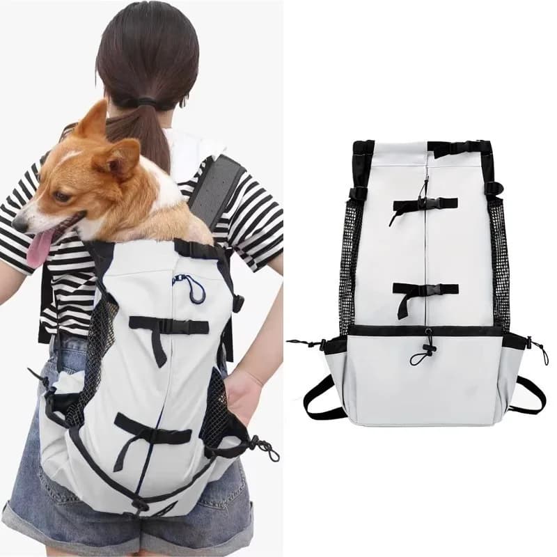 Luxury Fashion Pet Carrier Portable Foldable Oxford Cotton Dog Backpack with Zipper for Large Dogs Outdoor Use