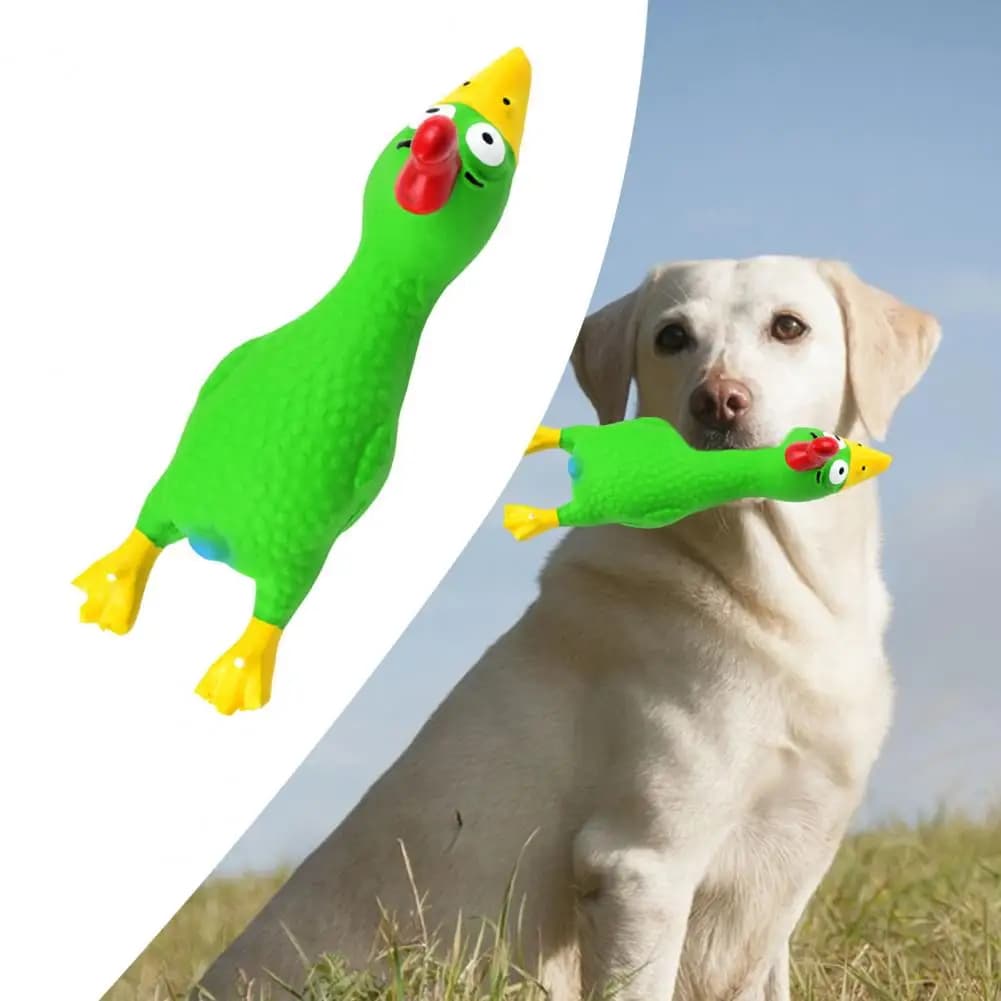 17*6.5 cm Lattice Pollo Giocattolo Per Cani Con Suono Sollievo Dal Noia Pulizia Dei Denti Molare Resistente Alla Morso Divertente Pollo Squeaky cane Giocattolo Da Masticare