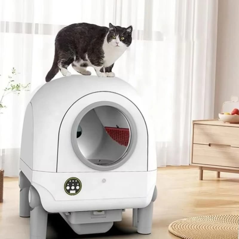 Lettiera per gatti automatica intelligente Controllo APP Caratteristica autopulente Stile mobili Fotocamera Toilette per gatti Nuovo accessorio intelligente