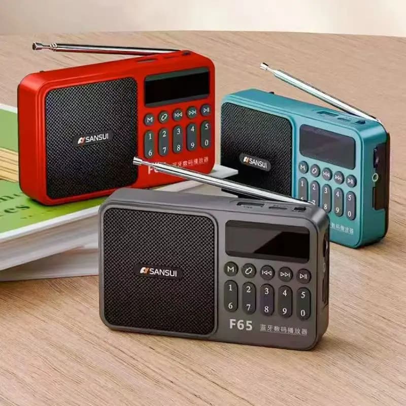 Shanshui F65 Radio Bluetooth con Inserimento Scheda TF, Lettore USB, Ricerca Automatica Canali, Radio Portatile per Anziani