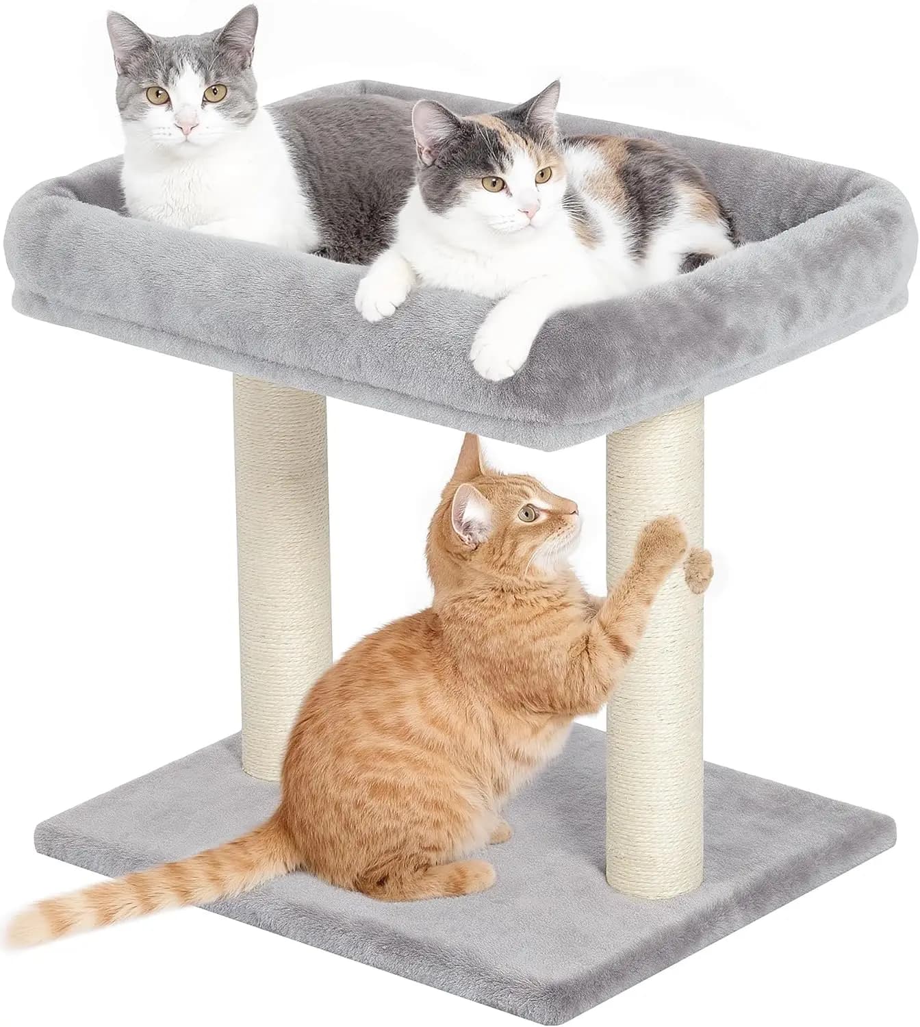 Albero per gatti con tiragraffi, ampio lettino sull'alto da 19'×15.8', piccola torre per gatti da interno, doppio