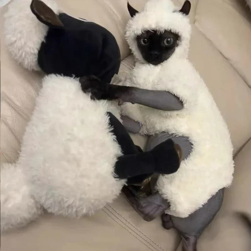 Vestiti invernali per gatti Sphynx addensato caldo pullover a quattro zampe cappotto per gatti agnello pigiama per animali domestici in velluto a doppia faccia per Devon Rex